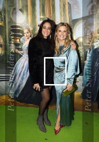 Amsterdam 18 november 2025
Premiere Wicked in het deLaMar theater . Eveline Stellaart