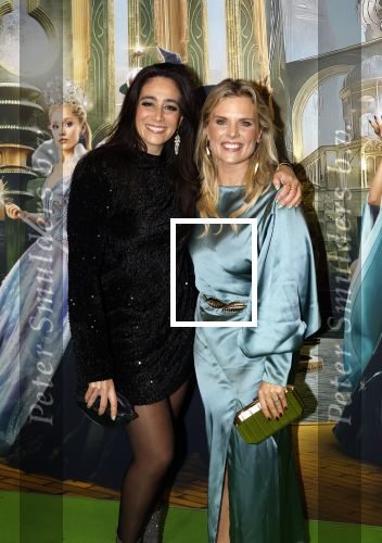 Amsterdam 18 november 2025
Premiere Wicked in het deLaMar theater . Eveline Stellaart