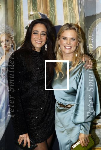 Amsterdam 18 november 2025
Premiere Wicked in het deLaMar theater . Eveline Stellaart