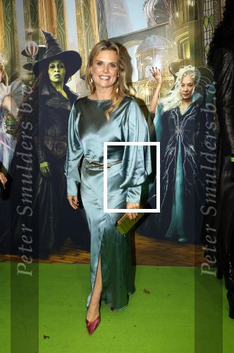 Amsterdam 18 november 2025
Premiere Wicked in het deLaMar theater . Eveline Stellaart