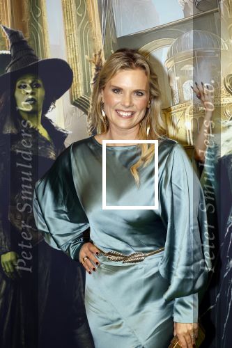 Amsterdam 18 november 2025
Premiere Wicked in het deLaMar theater . Eveline Stellaart