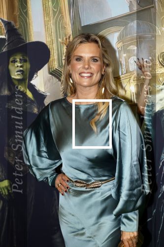 Amsterdam 18 november 2025
Premiere Wicked in het deLaMar theater . Eveline Stellaart