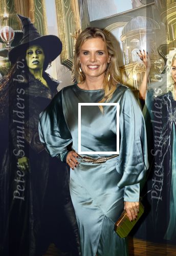 Amsterdam 18 november 2025
Premiere Wicked in het deLaMar theater . Eveline Stellaart