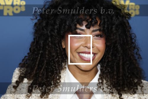 Amsterdam 16 oktober 2025
Uitreiking televizierring 2025 in Carre 
Fenna Ramos