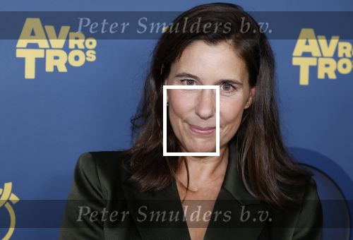 Amsterdam 16 oktober 2025
Uitreiking televizierring 2025 in Carre 
Floor Bremer