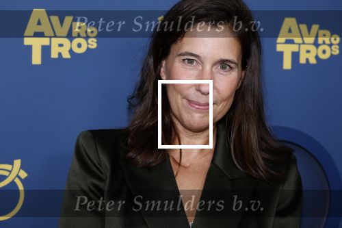 Amsterdam 16 oktober 2025
Uitreiking televizierring 2025 in Carre 
Floor Bremer