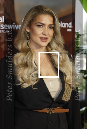 Amsterdam 11 november 2025
Presentatie real housewives of Amsterdam in het W hotel.
Aanwezig Niama Amhali Renee Vervoorn Cherry Ann Person Lilian Dziedzic Kimmylien Nguyen Djamila Celina Floor Coster en Elvira Penthesilea.