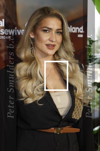 Amsterdam 11 november 2025
Presentatie real housewives of Amsterdam in het W hotel.
Aanwezig Niama Amhali Renee Vervoorn Cherry Ann Person Lilian Dziedzic Kimmylien Nguyen Djamila Celina Floor Coster en Elvira Penthesilea.