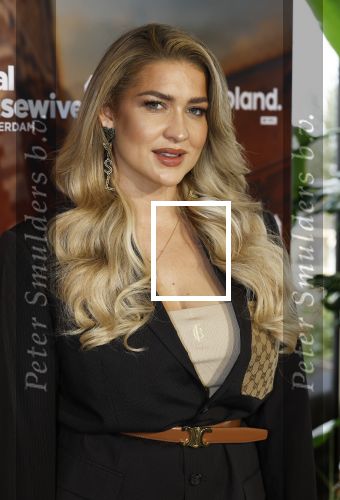 Amsterdam 11 november 2025
Presentatie real housewives of Amsterdam in het W hotel.
Aanwezig Niama Amhali Renee Vervoorn Cherry Ann Person Lilian Dziedzic Kimmylien Nguyen Djamila Celina Floor Coster en Elvira Penthesilea.