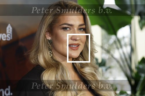Amsterdam 11 november 2025
Presentatie real housewives of Amsterdam in het W hotel.
Aanwezig Niama Amhali Renee Vervoorn Cherry Ann Person Lilian Dziedzic Kimmylien Nguyen Djamila Celina Floor Coster en Elvira Penthesilea.