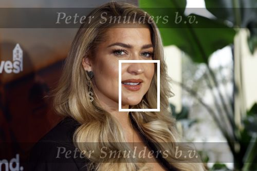 Amsterdam 11 november 2025
Presentatie real housewives of Amsterdam in het W hotel.
Aanwezig Niama Amhali Renee Vervoorn Cherry Ann Person Lilian Dziedzic Kimmylien Nguyen Djamila Celina Floor Coster en Elvira Penthesilea.