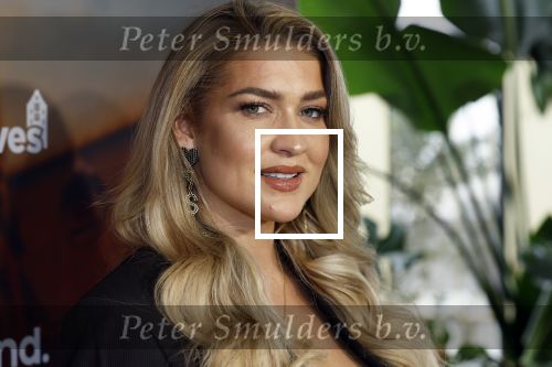 Amsterdam 11 november 2025
Presentatie real housewives of Amsterdam in het W hotel.
Aanwezig Niama Amhali Renee Vervoorn Cherry Ann Person Lilian Dziedzic Kimmylien Nguyen Djamila Celina Floor Coster en Elvira Penthesilea.