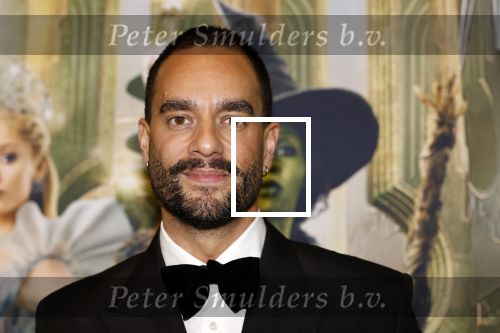 Amsterdam 18 november 2025
Premiere Wicked in het deLaMar theater . Freek Bartels