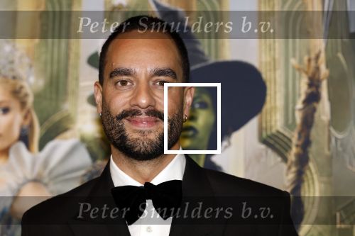 Amsterdam 18 november 2025
Premiere Wicked in het deLaMar theater . Freek Bartels