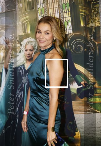 Amsterdam 18 november 2025
Premiere Wicked in het deLaMar theater . Froukje de Both kwam met haar dochter