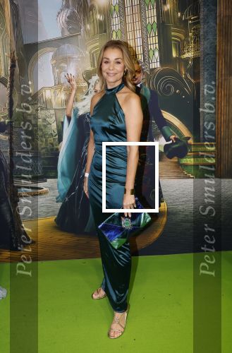 Amsterdam 18 november 2025
Premiere Wicked in het deLaMar theater . Froukje de Both kwam met haar dochter