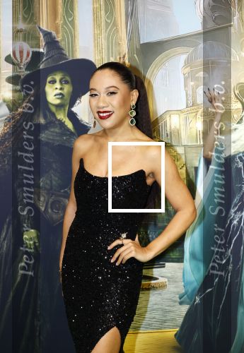 Amsterdam 18 november 2025
Premiere Wicked in het deLaMar theater . Gaia Aikman