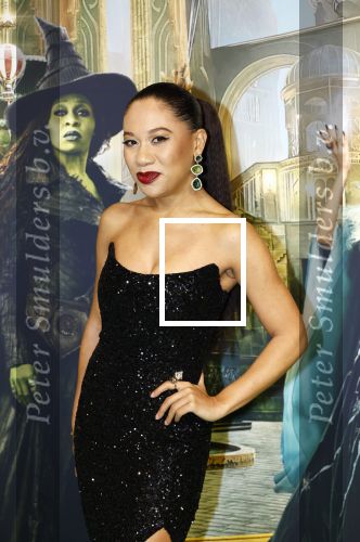 Amsterdam 18 november 2025
Premiere Wicked in het deLaMar theater . Gaia Aikman