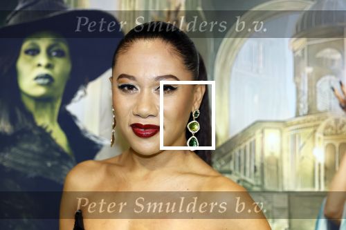 Amsterdam 18 november 2025
Premiere Wicked in het deLaMar theater . Gaia Aikman