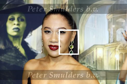 Amsterdam 18 november 2025
Premiere Wicked in het deLaMar theater . Gaia Aikman