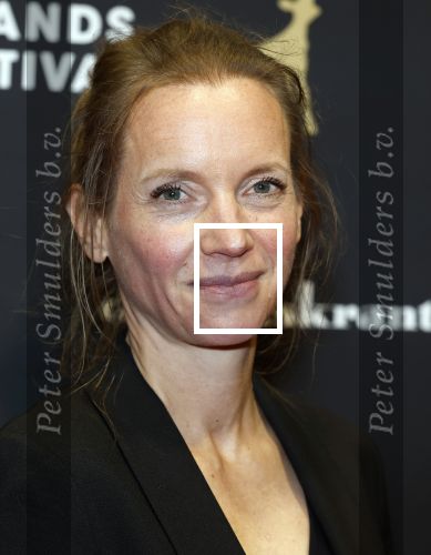 Utrecht 3 oktober 2025
Uitreiking gouden kalveren op het Nederlands film festival.