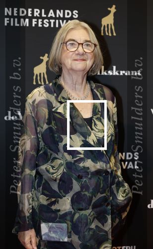 Utrecht 3 oktober 2025
Uitreiking gouden kalveren op het Nederlands film festival.