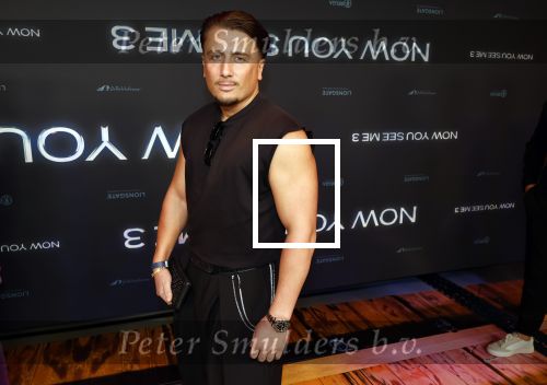 Amsterdam 11 november 2025
Premiere Now you see me 3 bij The Harbour Club . harrie Snijders
