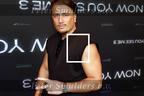 Amsterdam 11 november 2025
Premiere Now you see me 3 bij The Harbour Club . harrie Snijders