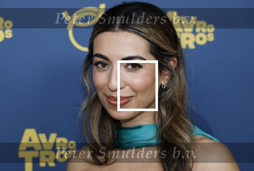 Amsterdam 16 oktober 2025
Uitreiking televizierring 2025 in Carre 
Hila Noorza