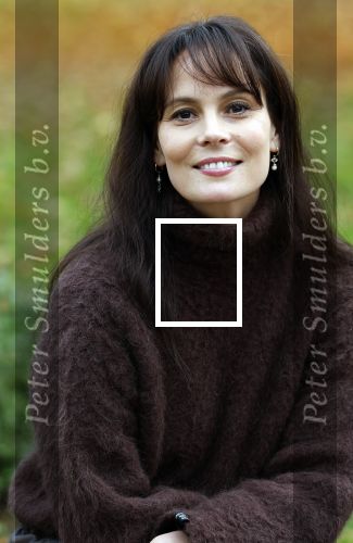 Amsterdam 10 november 2025
Presentatie sinterklaasboeken met Igone de Jong Tijl Beckand en Lieke Martens .