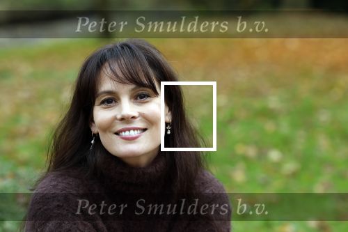 Amsterdam 10 november 2025
Presentatie sinterklaasboeken met Igone de Jong Tijl Beckand en Lieke Martens .