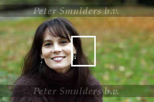 Amsterdam 10 november 2025
Presentatie sinterklaasboeken met Igone de Jong Tijl Beckand en Lieke Martens .