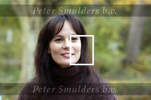 Amsterdam 10 november 2025
Presentatie sinterklaasboeken met Igone de Jong Tijl Beckand en Lieke Martens .
