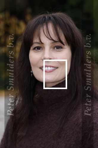 Amsterdam 10 november 2025
Presentatie sinterklaasboeken met Igone de Jong Tijl Beckand en Lieke Martens .