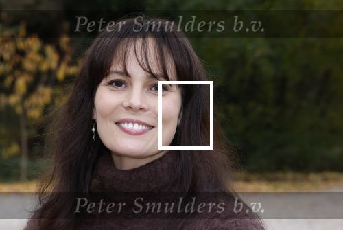 Amsterdam 10 november 2025
Presentatie sinterklaasboeken met Igone de Jong Tijl Beckand en Lieke Martens .