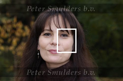 Amsterdam 10 november 2025
Presentatie sinterklaasboeken met Igone de Jong Tijl Beckand en Lieke Martens .