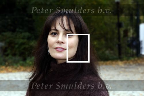 Amsterdam 10 november 2025
Presentatie sinterklaasboeken met Igone de Jong Tijl Beckand en Lieke Martens .