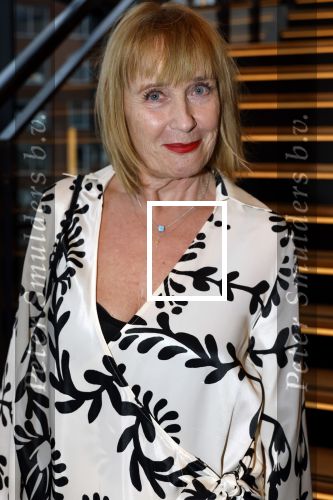 Zaandam 30 november 2025
Premiere Dial for murder in het zaantheater . Inge Ipenburg