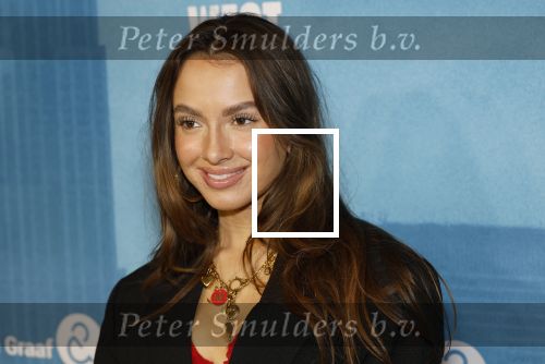 Rotterdam 23 november 2025
Premiere West side story in het nieuwe luxor. jada Borsato