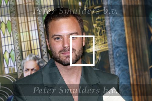 Amsterdam 18 november 2025
Premiere Wicked in het deLaMar theater . Jim Bakkum
