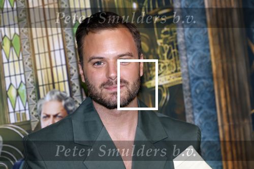 Amsterdam 18 november 2025
Premiere Wicked in het deLaMar theater . Jim Bakkum