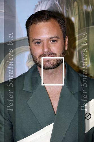 Amsterdam 18 november 2025
Premiere Wicked in het deLaMar theater . Jim Bakkum