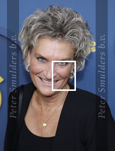 Amsterdam 16 oktober 2025
Uitreiking televizierring 2025 in Carre 
Josee Bronk