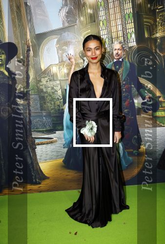 Amsterdam 18 november 2025
Premiere Wicked in het deLaMar theater . Julia Tan met een vriendin
