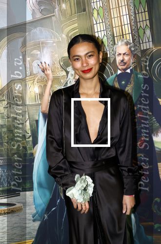 Amsterdam 18 november 2025
Premiere Wicked in het deLaMar theater . Julia Tan met een vriendin