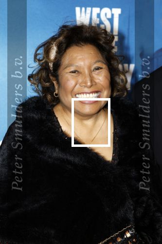 Rotterdam 23 november 2025
Premiere West side story in het nieuwe luxor. Justine Pelmelay met een kennis