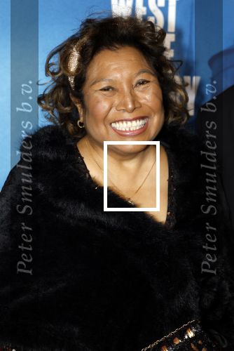 Rotterdam 23 november 2025
Premiere West side story in het nieuwe luxor. Justine Pelmelay met een kennis