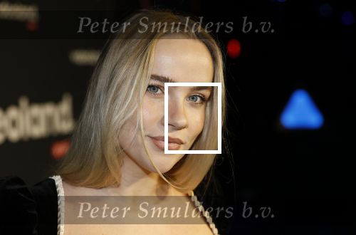 Amsterdam 28 november 2025
Presentatie videoland serie Vals Spel in Amsterdam. Juultje Tieleman
