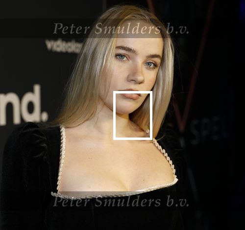 Amsterdam 28 november 2025
Presentatie videoland serie Vals Spel in Amsterdam. Juultje Tieleman