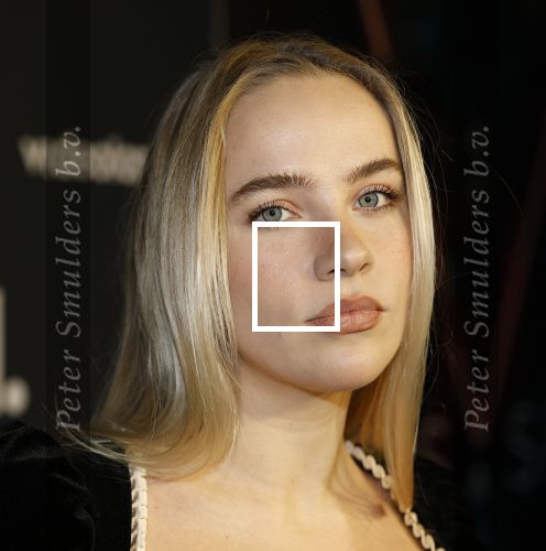 Amsterdam 28 november 2025
Presentatie videoland serie Vals Spel in Amsterdam. Juultje Tieleman